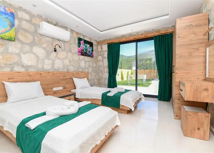 With Private Pool And Jacuzzi In Nature Villa Kaş