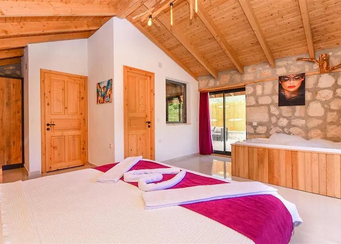 With Private Pool And Jacuzzi In Nature Villa