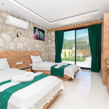 With Private Pool And Jacuzzi In Nature Vila Kaş