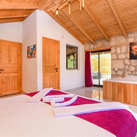 With Private Pool And Jacuzzi In Nature Villa